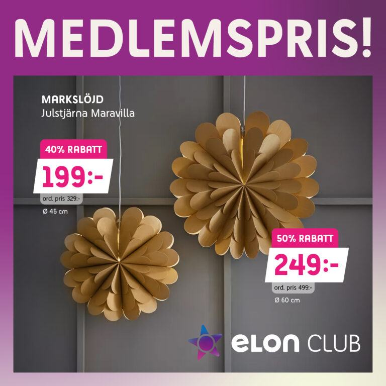 Elon_Club_2025_B4_1440_x_1440_13